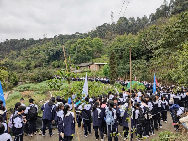 乐山桥中图片